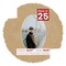 Beige Suede Mat Board for 11x17 Frames - Oval Opening for 9x13 Photos